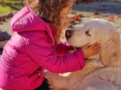 pet therapy 1